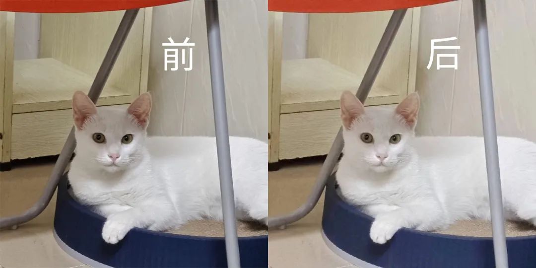 微信头像为啥用久了变浅,微信头像为什么会褪色