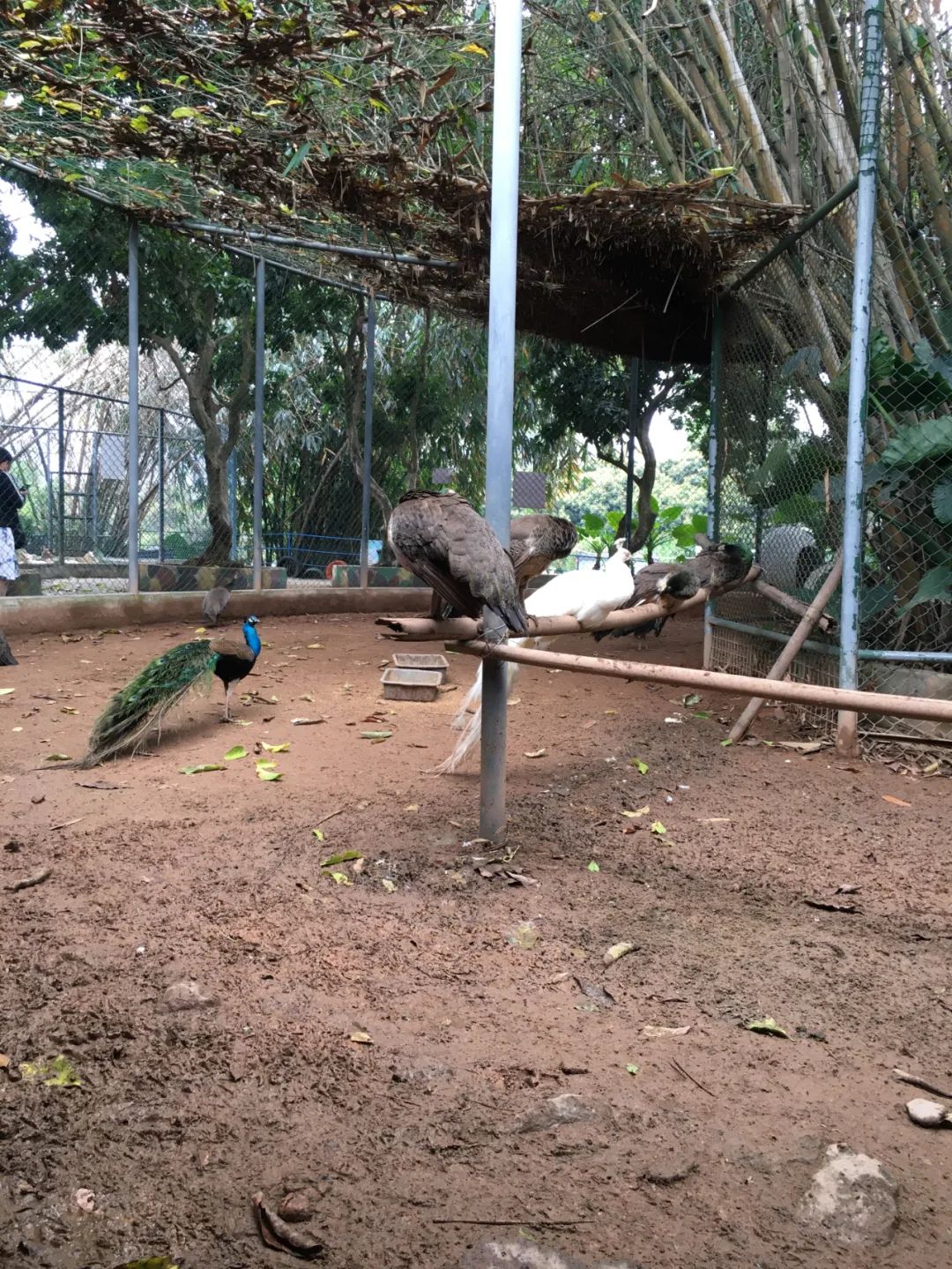 旭光电动车行,旭光车行向阳路