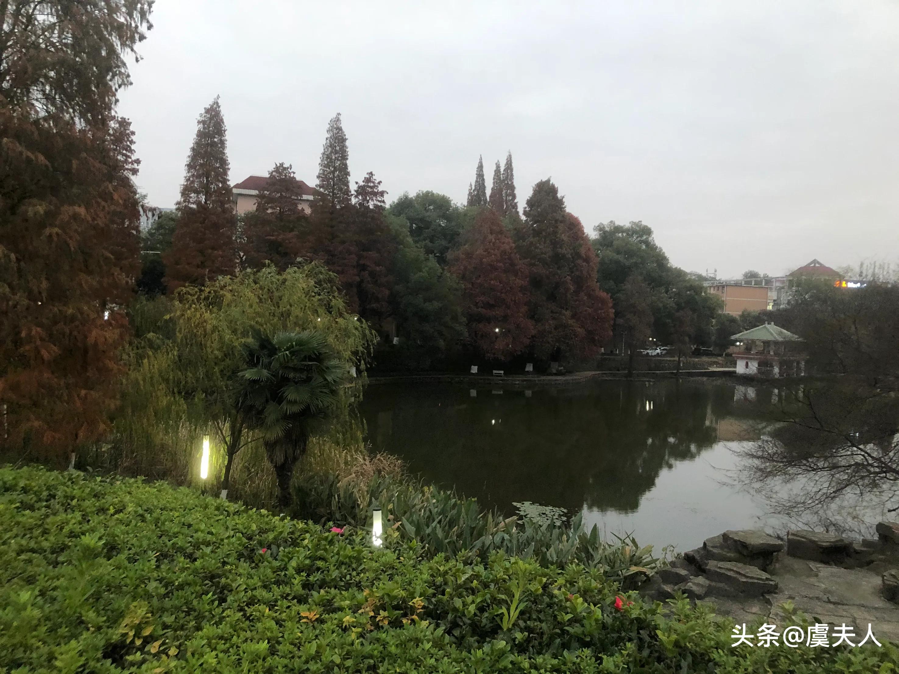 草木荣枯自有时万物从容皆可得,草木荣枯自有时出自哪里