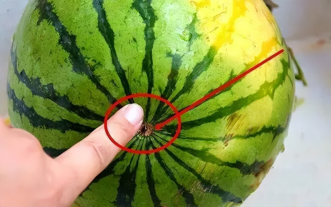 三伏天如何做一个合格的吃瓜群众,三伏天要怎么做怎么吃