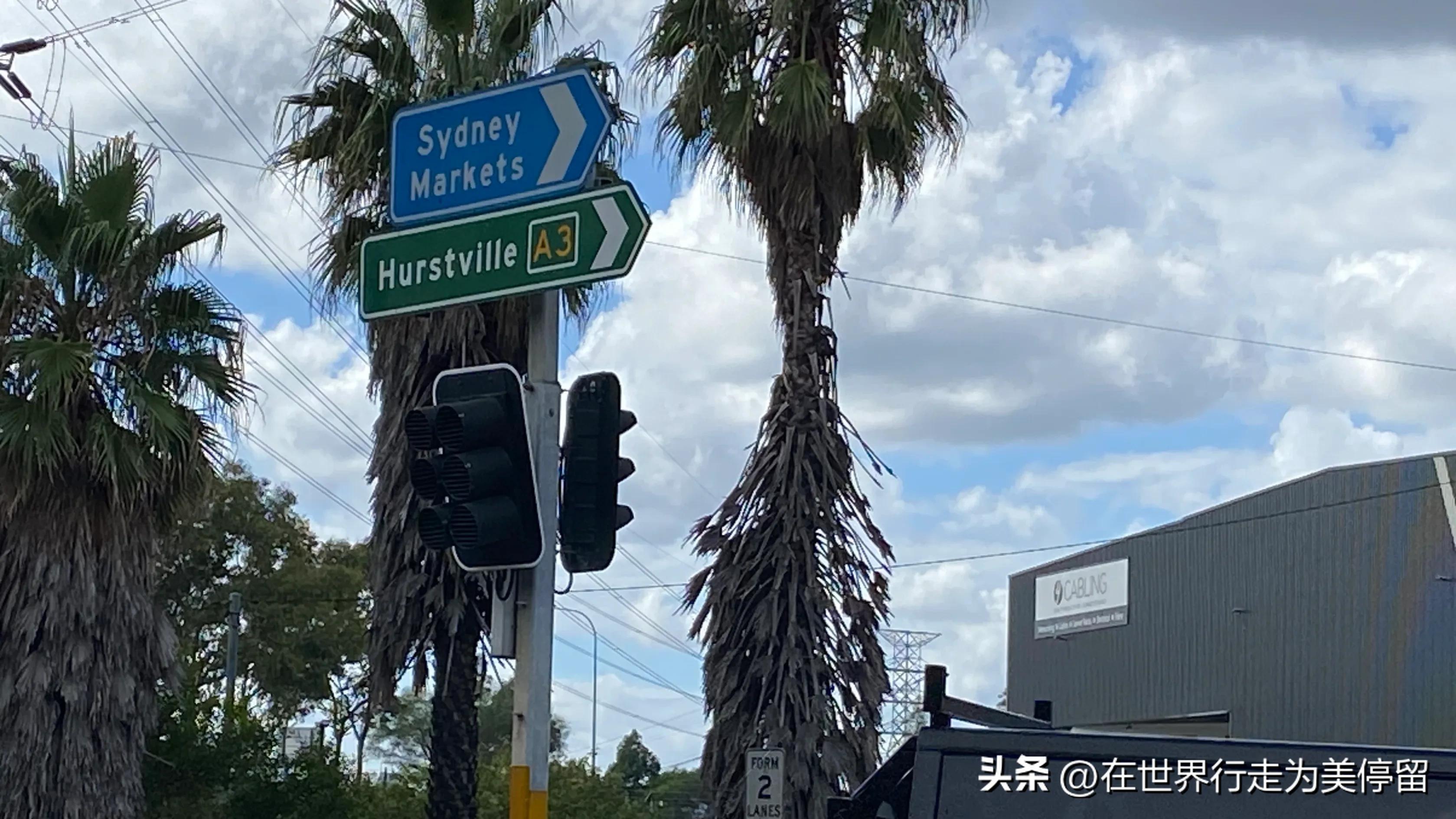 悉尼最大的蔬菜批发市场,悉尼蔬菜市场