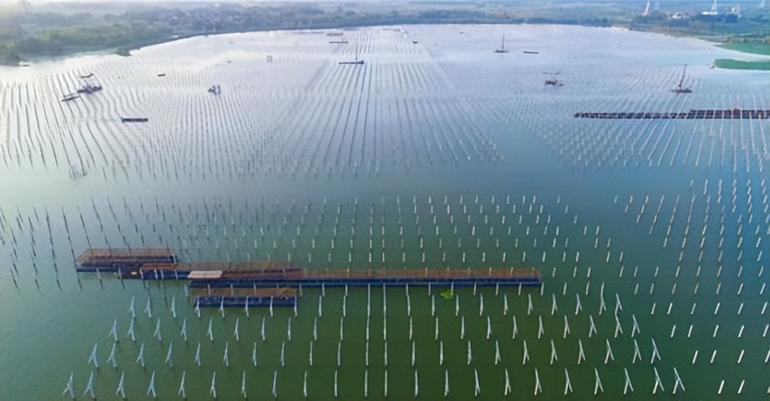 大面积拆除光伏板,拆除光伏板地区