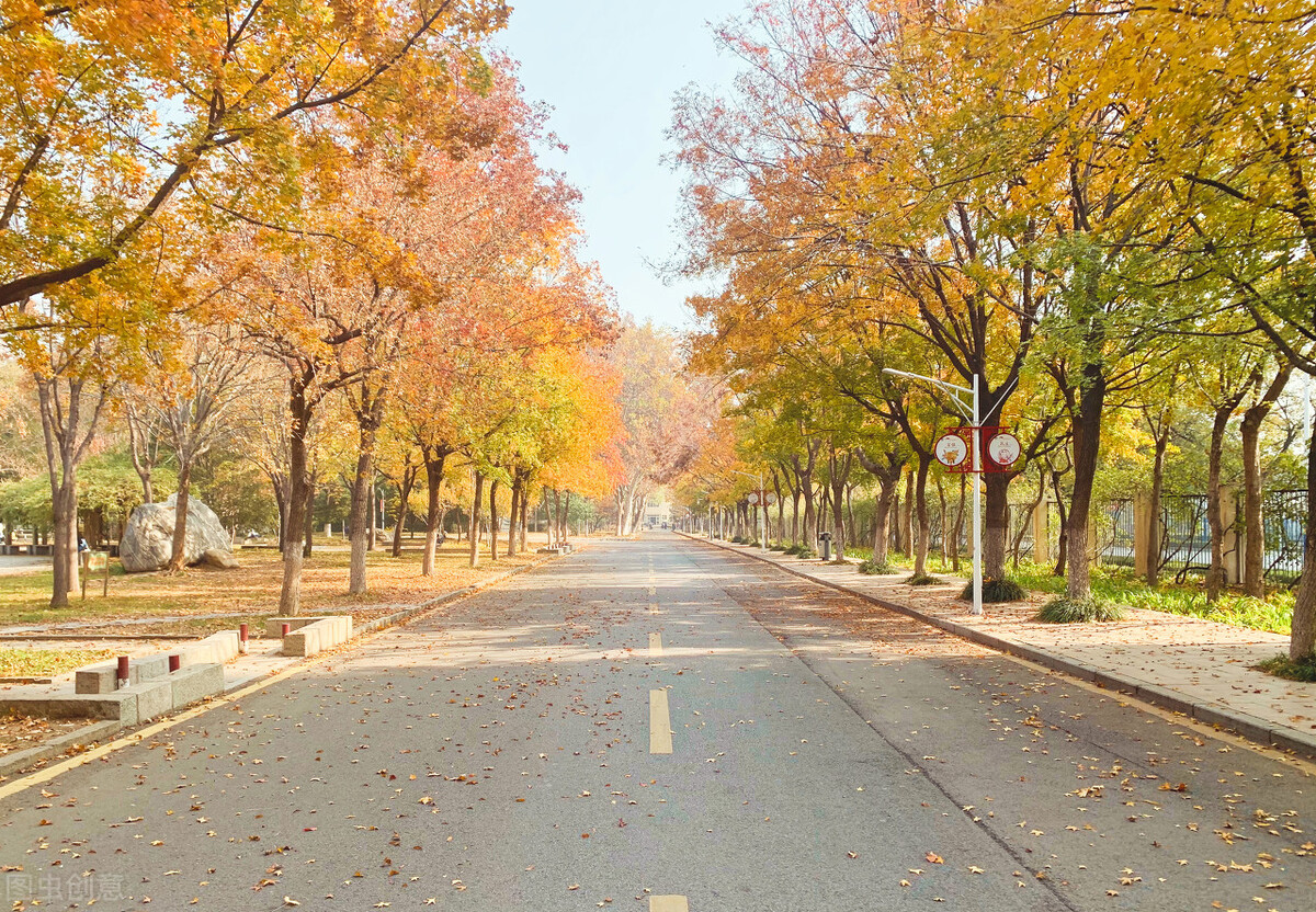 山东农业大学是双一流大学吗？不是，但实力相当雄厚