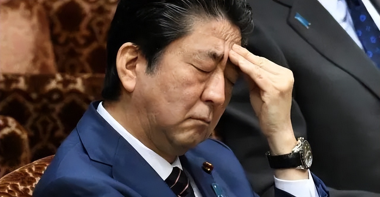 闊╁浗鎬荤粺鍘熻皡鏃ユ湰,闊╁浗鎬荤粺鍙嶆硶瑗挎柉