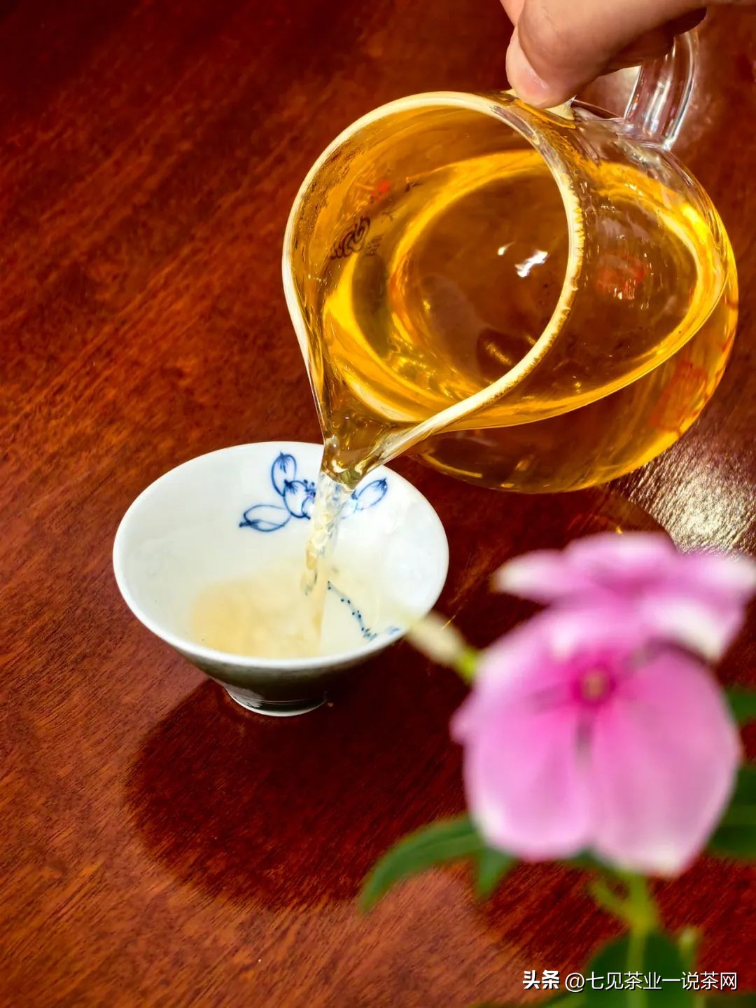 泡茶器具选择,选择泡茶器具最全攻略收藏版