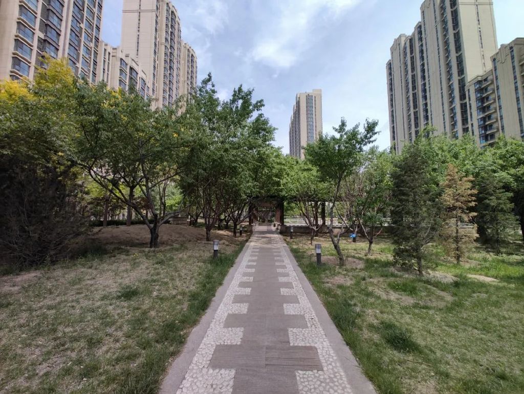 谁是影像机皇,谁才是手机机皇