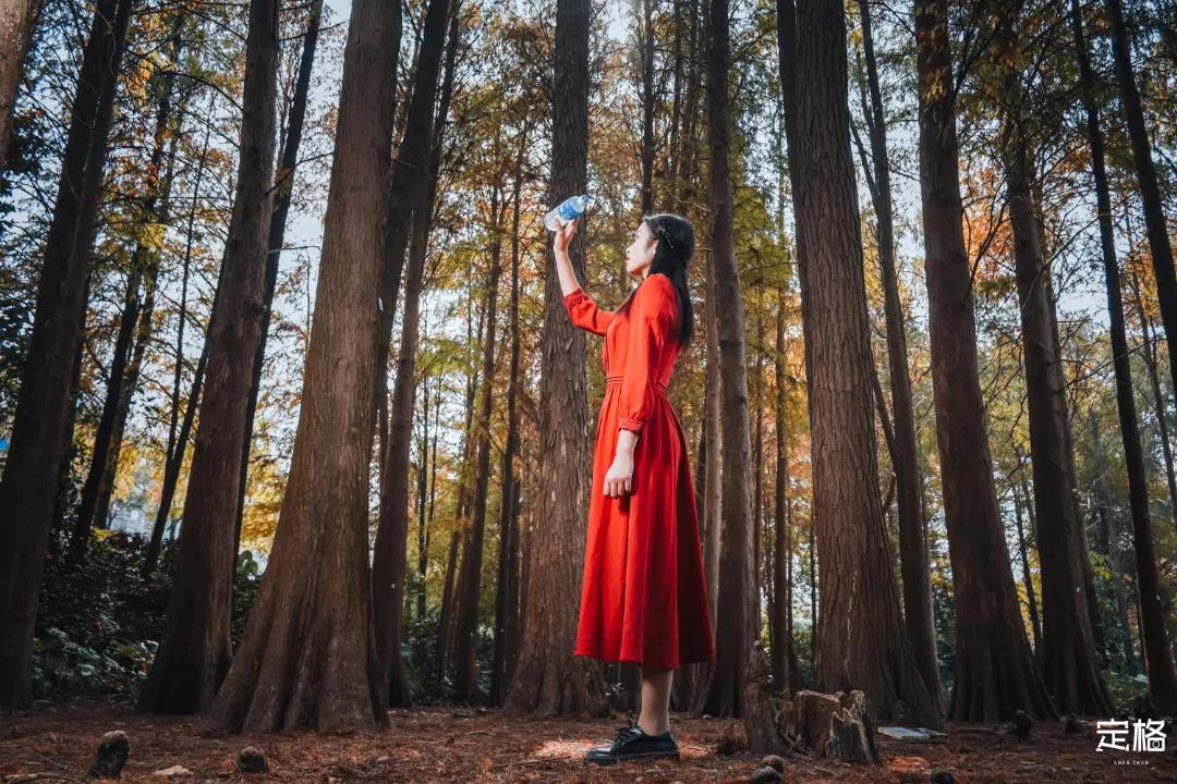 娲箹鍏洯娣卞湷,娲箹鍏洯鑽疯姳