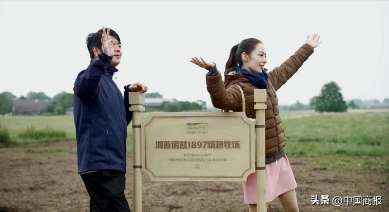 把海普诺凯1897搬进直播间央视新闻直击荷兰奶粉黄金产区“源代码”