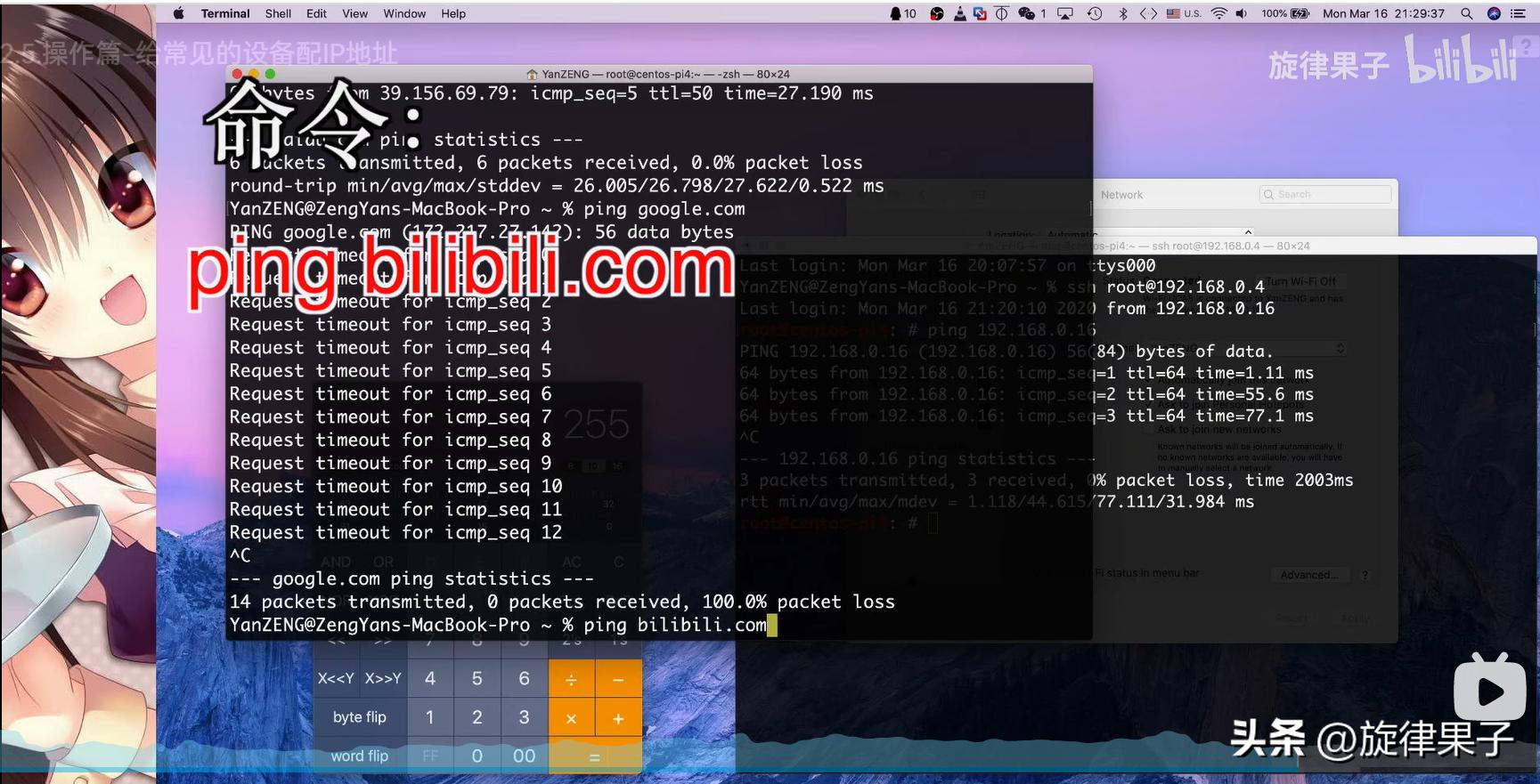ip地址分配操作,mac地址绑定解决ip冲突