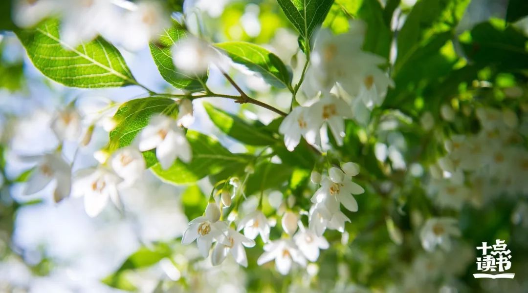 苏东坡不要把自己弄得太累,生活太累看看苏东坡10句话