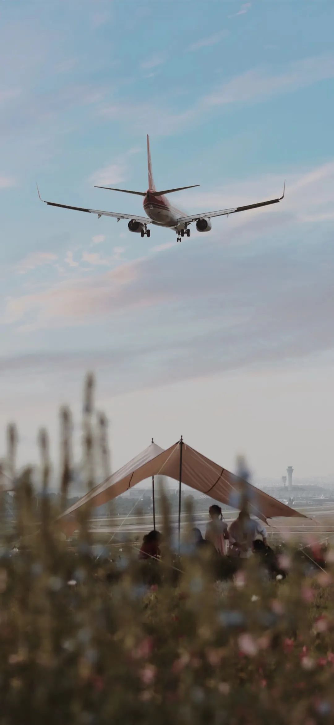 成都向上最新信息,年度向上力量合照