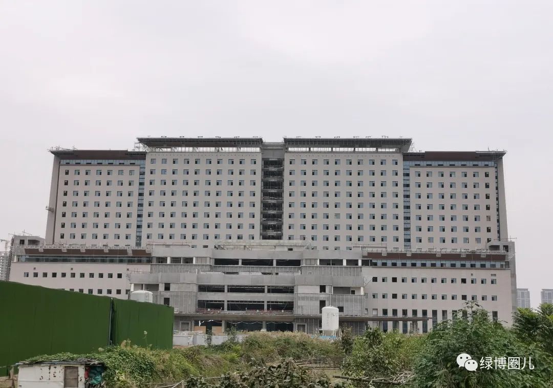 绿博真实现状,5年后绿博