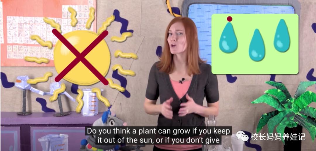 关于春天种植的英文儿歌,英文种植儿歌