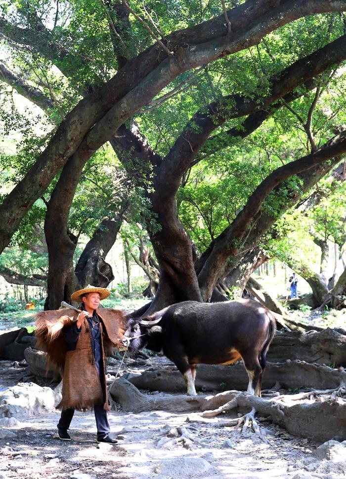 霞浦畲族农家乐,霞浦盐田农家乐