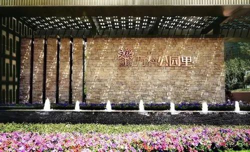 安家深圳视频,深圳樟树布