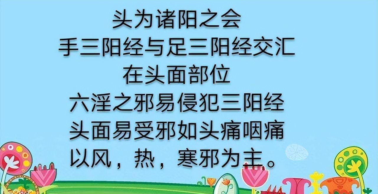 学习一味中药——薄荷,气味辛凉,功专入肝与肺