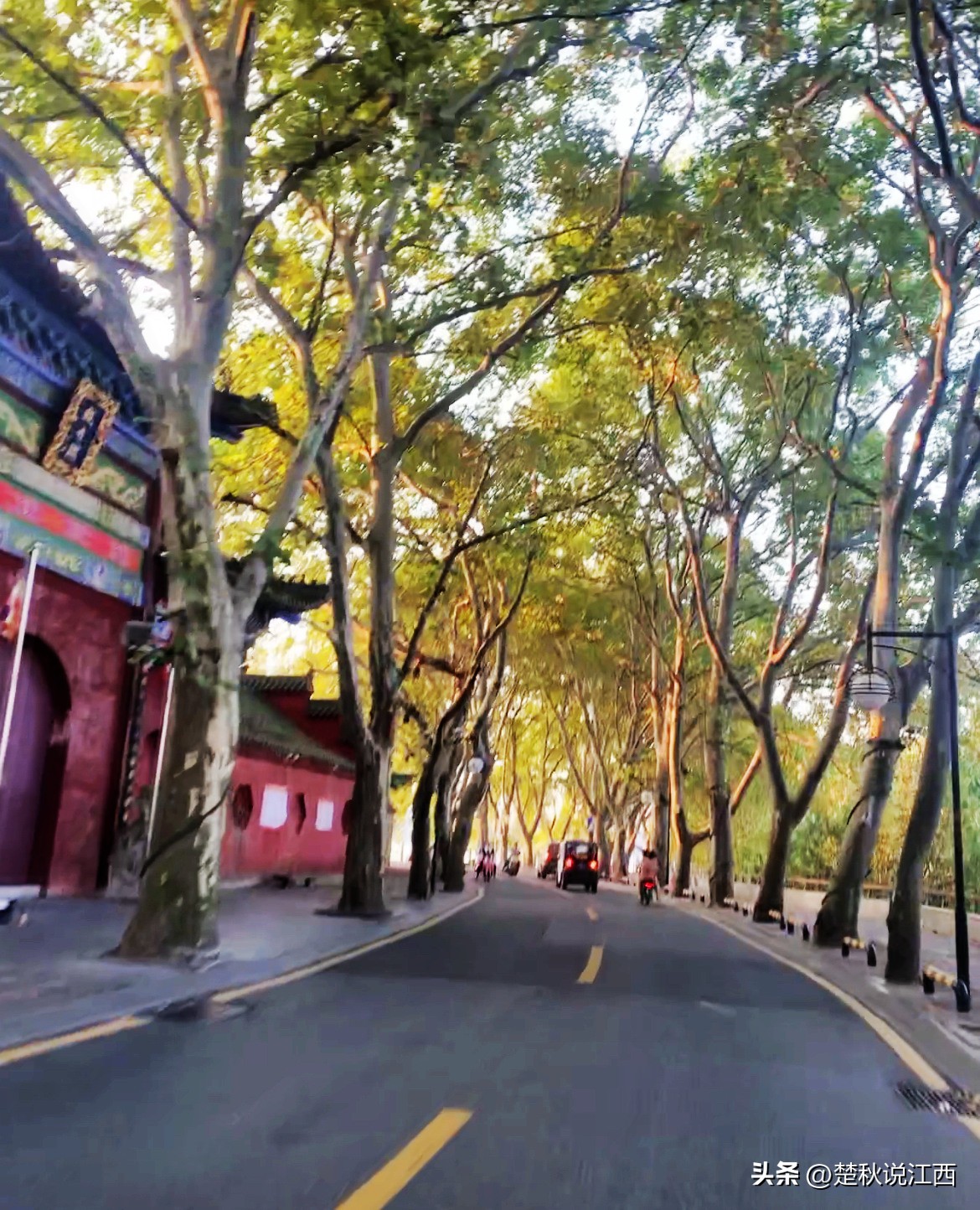 甘棠湖上“娘娘庙”，是为闹市中的一方净土，风光旖旎，四季浪漫