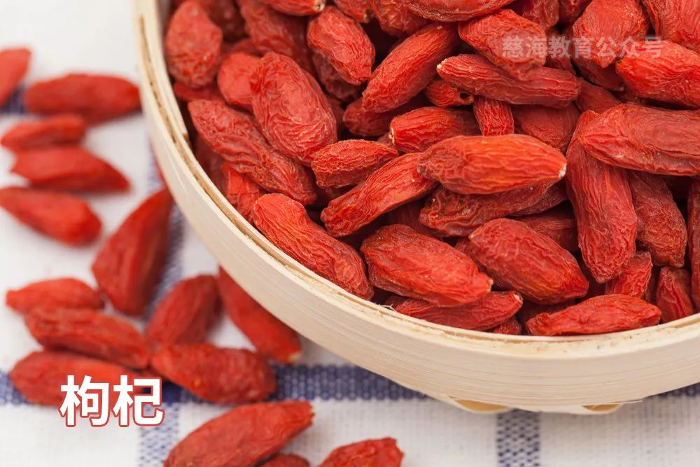 比枸杞子补肾更厉害的中药,每天学一味中药枸杞子