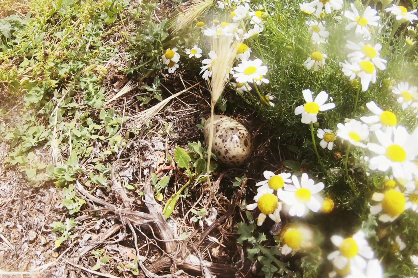 中国小伙荒岛求生大合集,中国小伙的航海日记合集