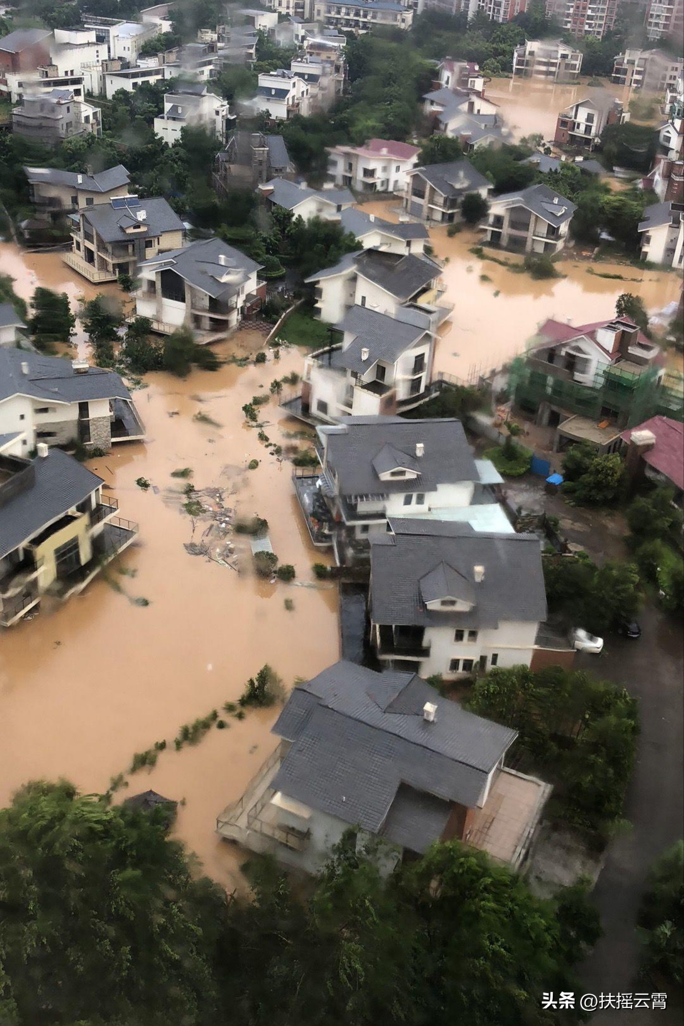 志愿者李天辉及队友：热心邻里公益如春风，大事小情无私抢着干