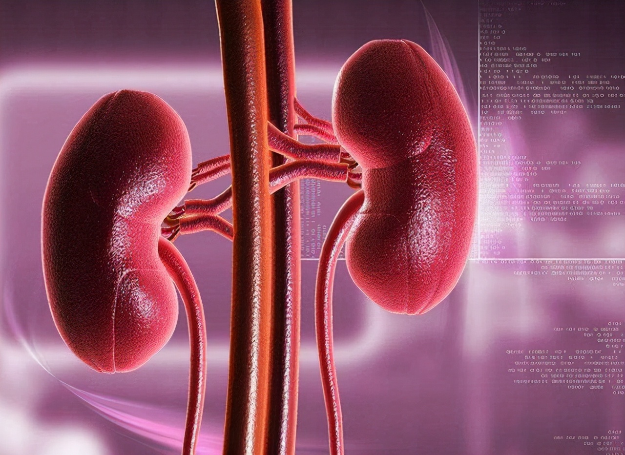 14种食物最补肾壮阳效果堪比药物,男性补肾补脾的食物