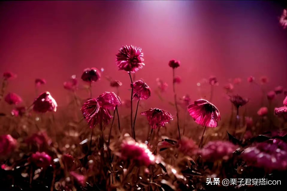 2023年秋冬流行色有哪些,2023春季流行色复古红