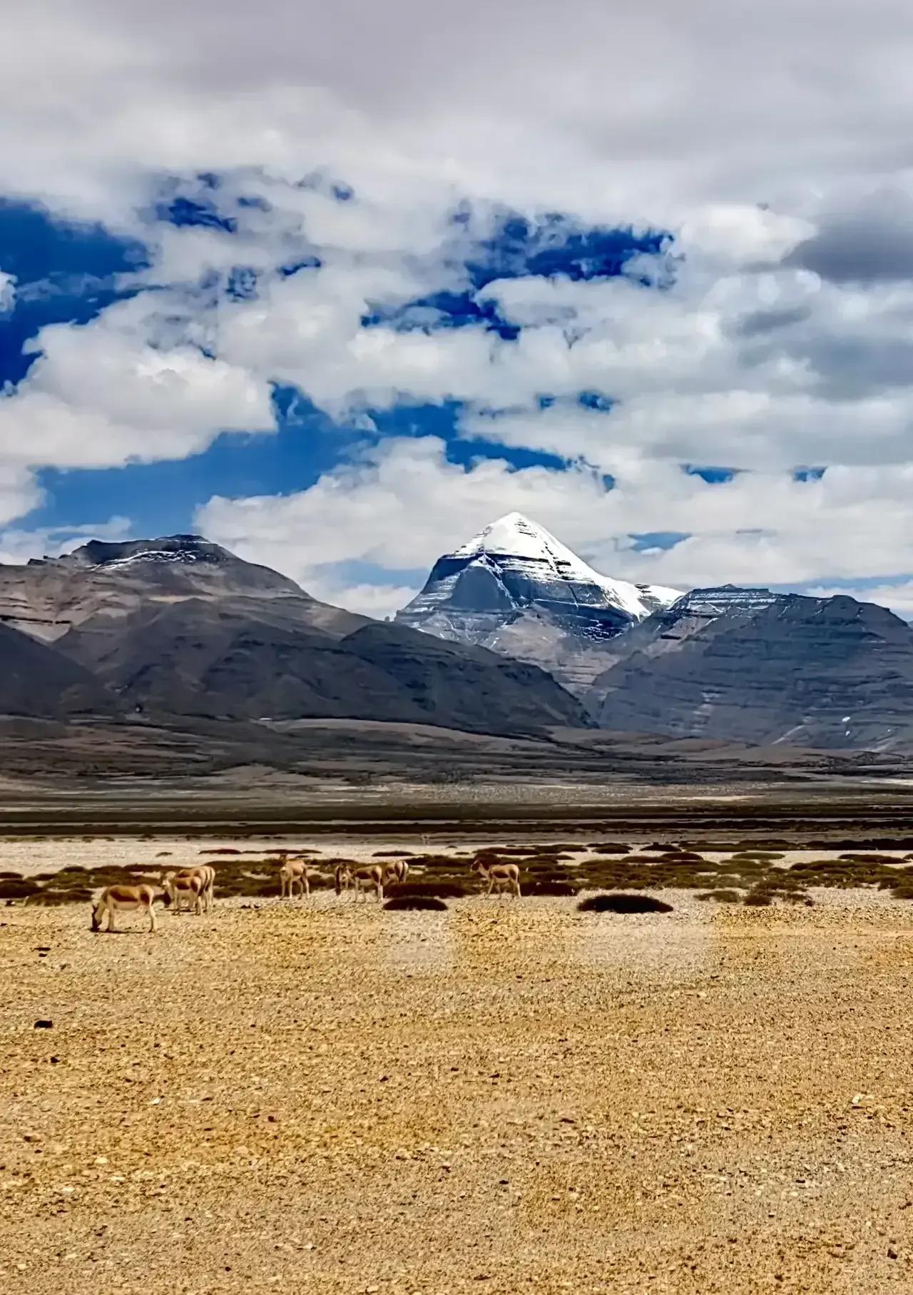 你准备好了去*藏西**吗？我有几项抗高反的建议，希望对你有帮助