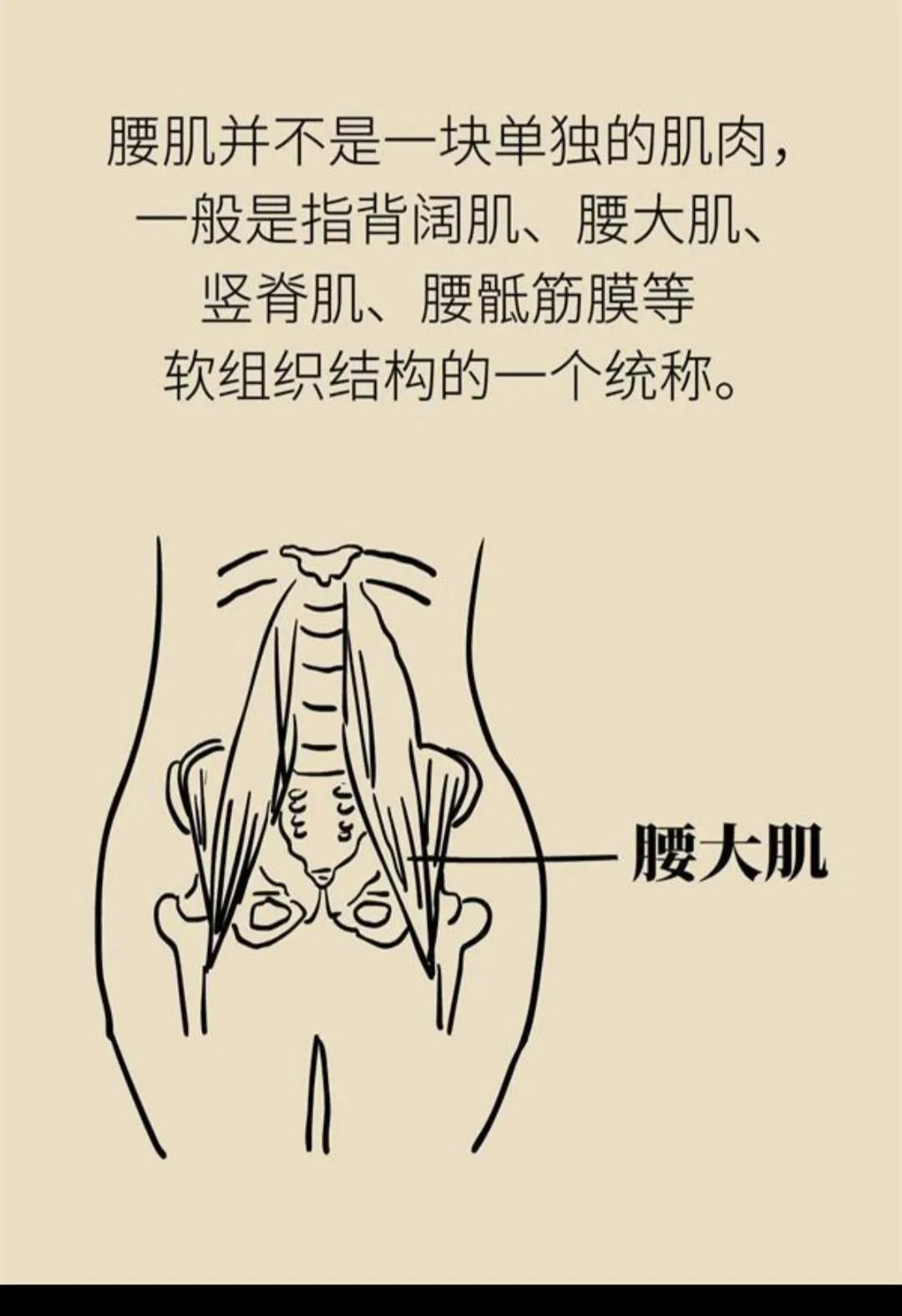 什么是腰肌劳损中医,什么是腰肌劳损