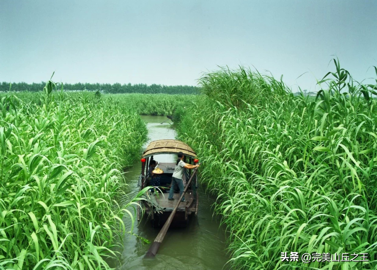 苏州5a旅游景点排名,苏州旺山景区5a