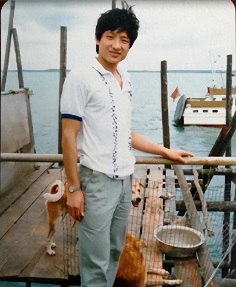 杨阳前程似锦,杨阳洋国家队