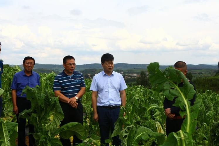 完善政策性农业保险机制,政策性农业保险对农业生产作用