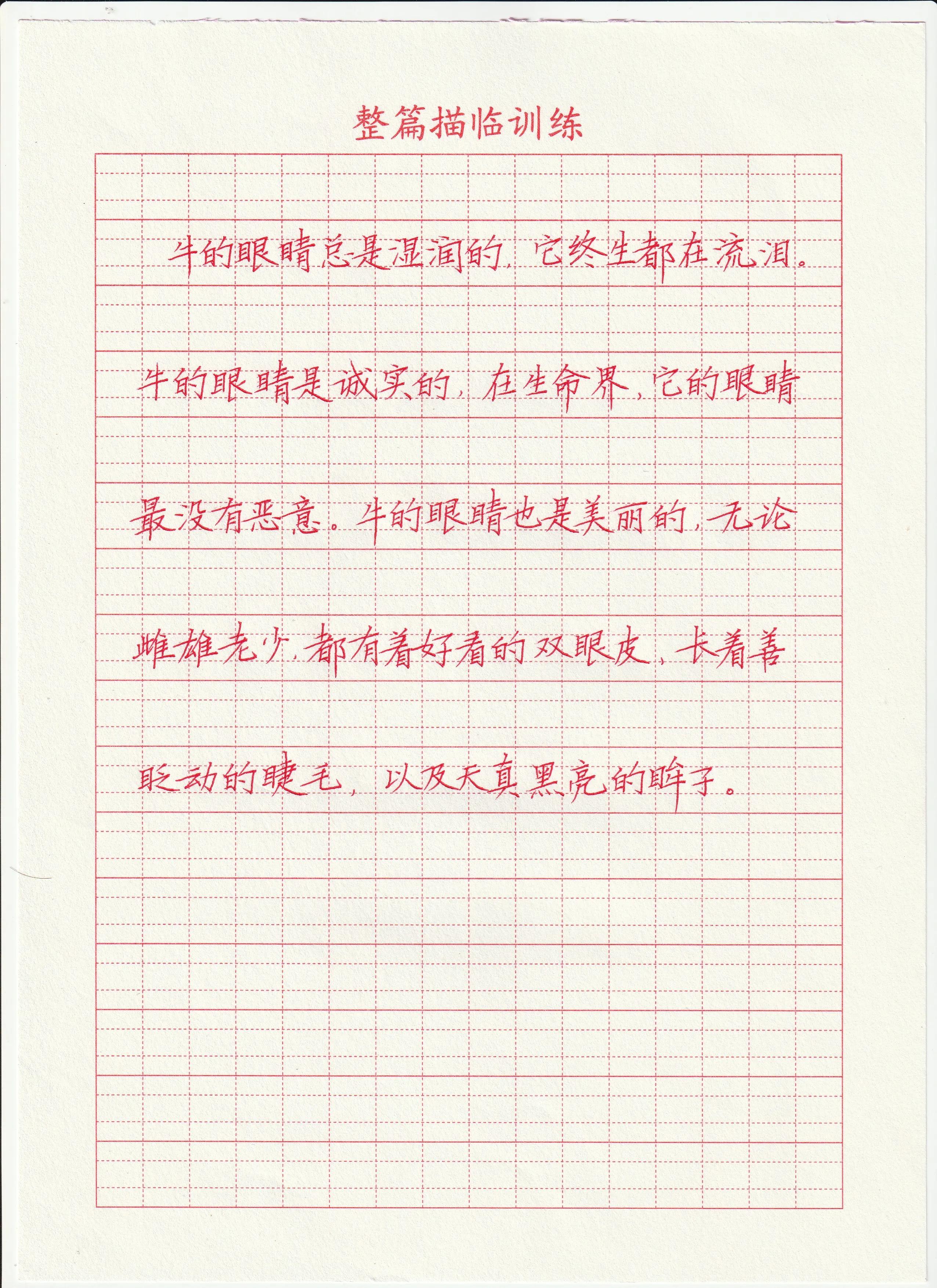 楷书快写体高考能不能用,语文楷书怎么写