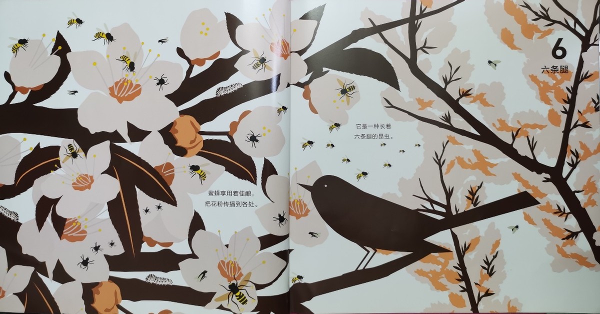 绘本和我一起数星星,儿童绘本推荐3-6岁星星主题