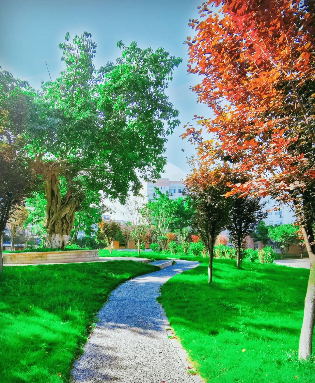 2019年一年级招生简章,2022年公办学校一年级怎么招生