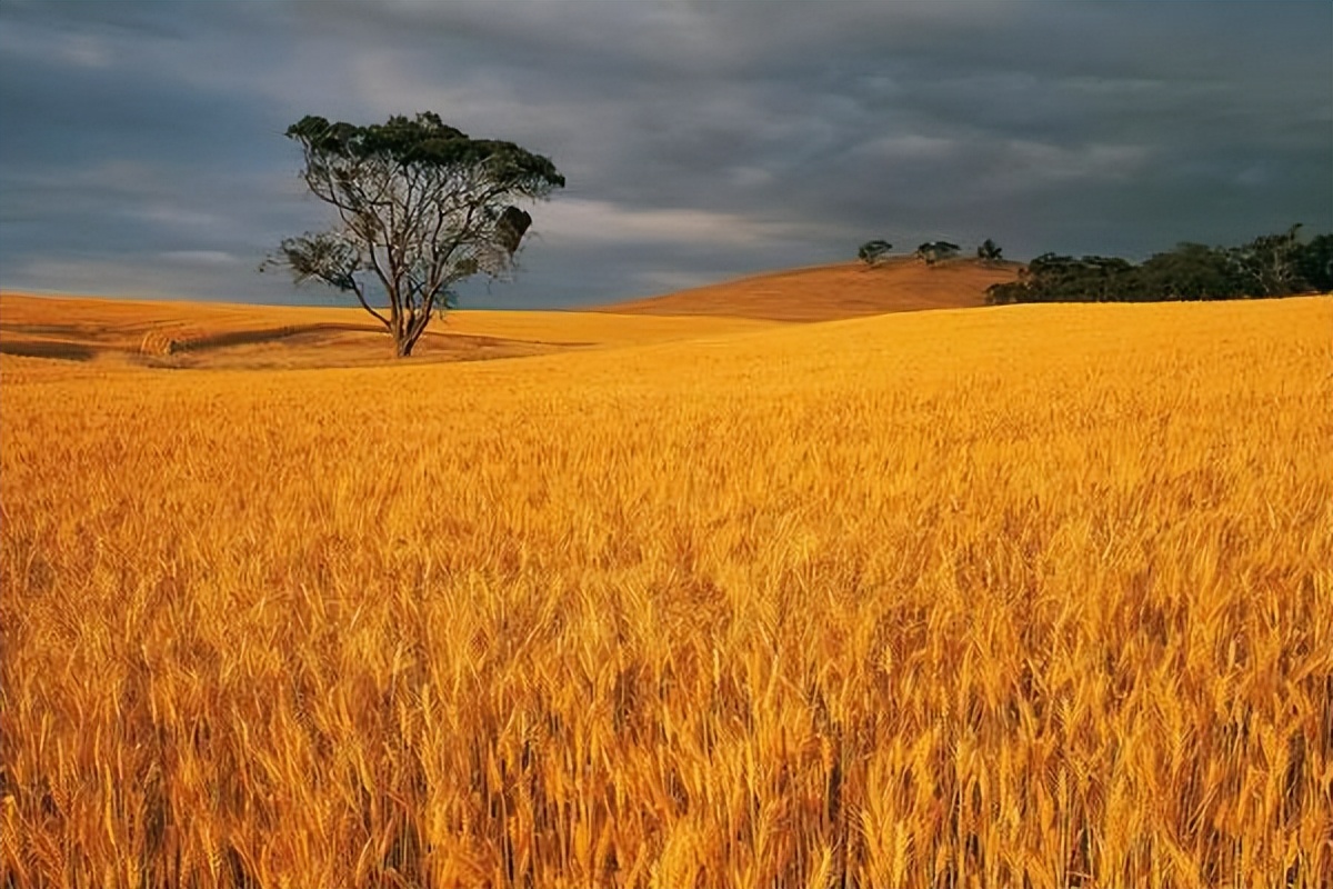 退休以后不该与这三种人来往,为什么退休之后不能经常去串门
