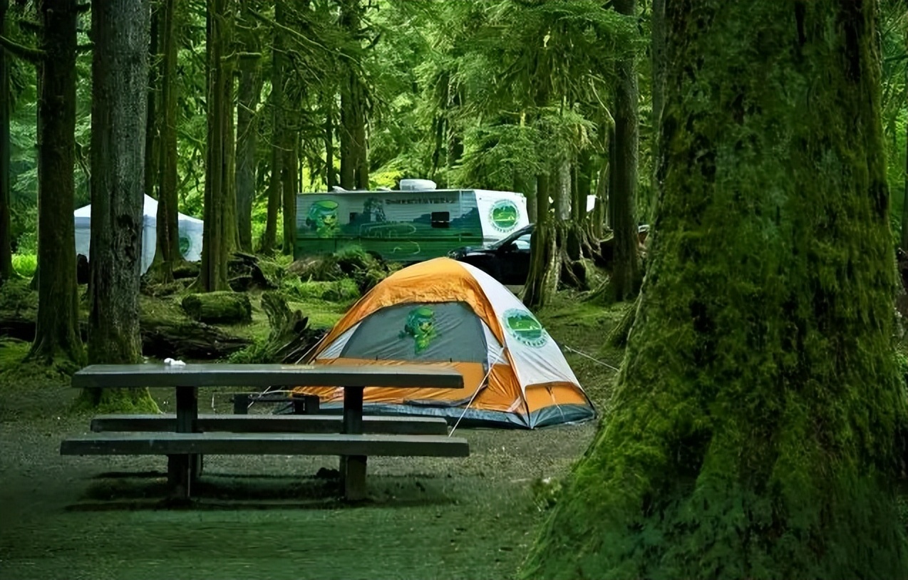 郑州春节亲子游十大必去景点,五一郑州周边游玩推荐景点
