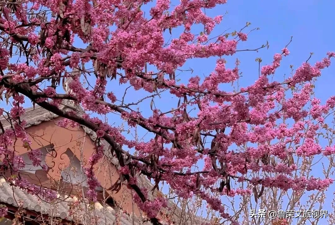 西安旅游攻略大全坐地铁,西安地铁旅游攻略三日游