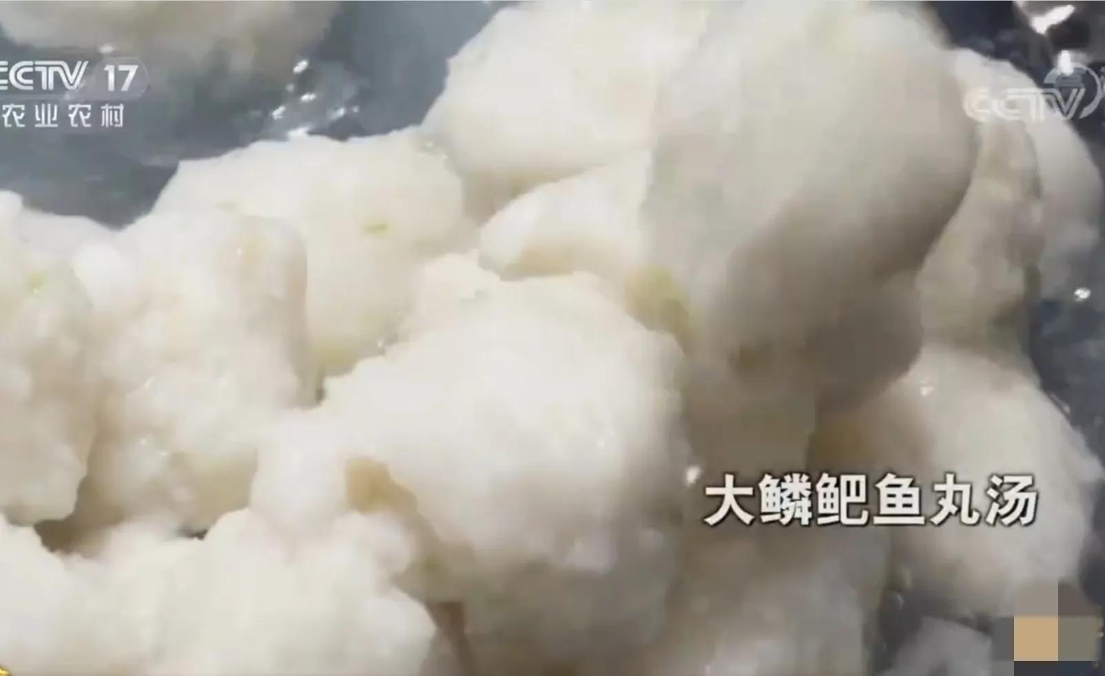 承包鱼塘也能年入百万,男子承包鱼塘后续