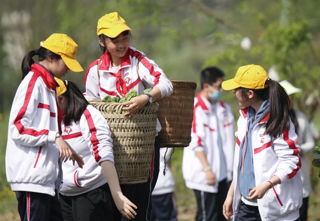 成都七中致学生的一封信,成都七中一封信