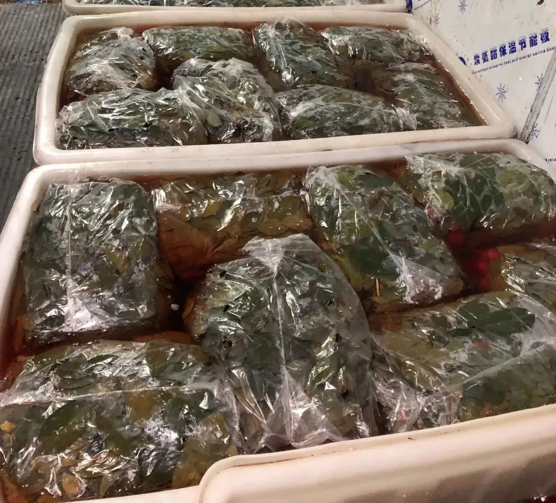 为了找证据，他从国外买水果做实验……