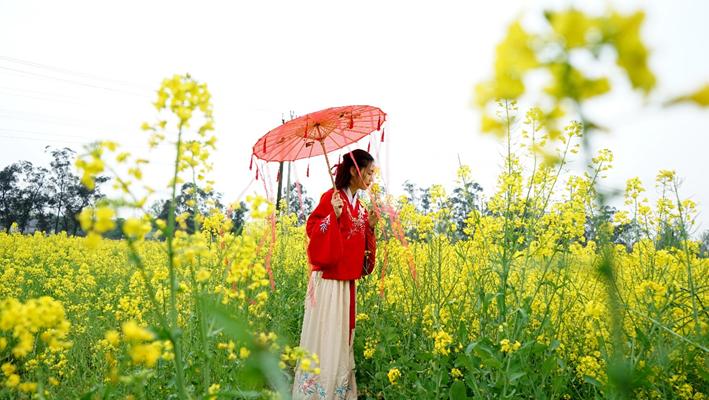 距离成都川西竹海最近的民宿,成都周边山水古村民宿推荐