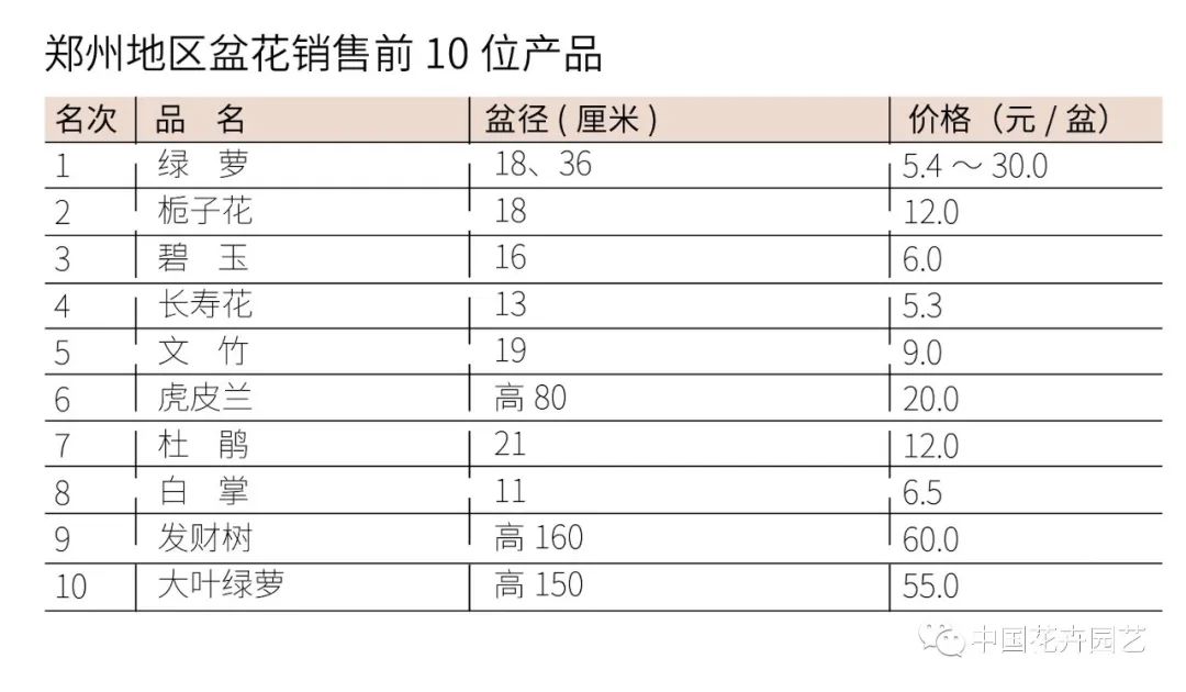 盆花批发价格暴跌,4月份花价预测