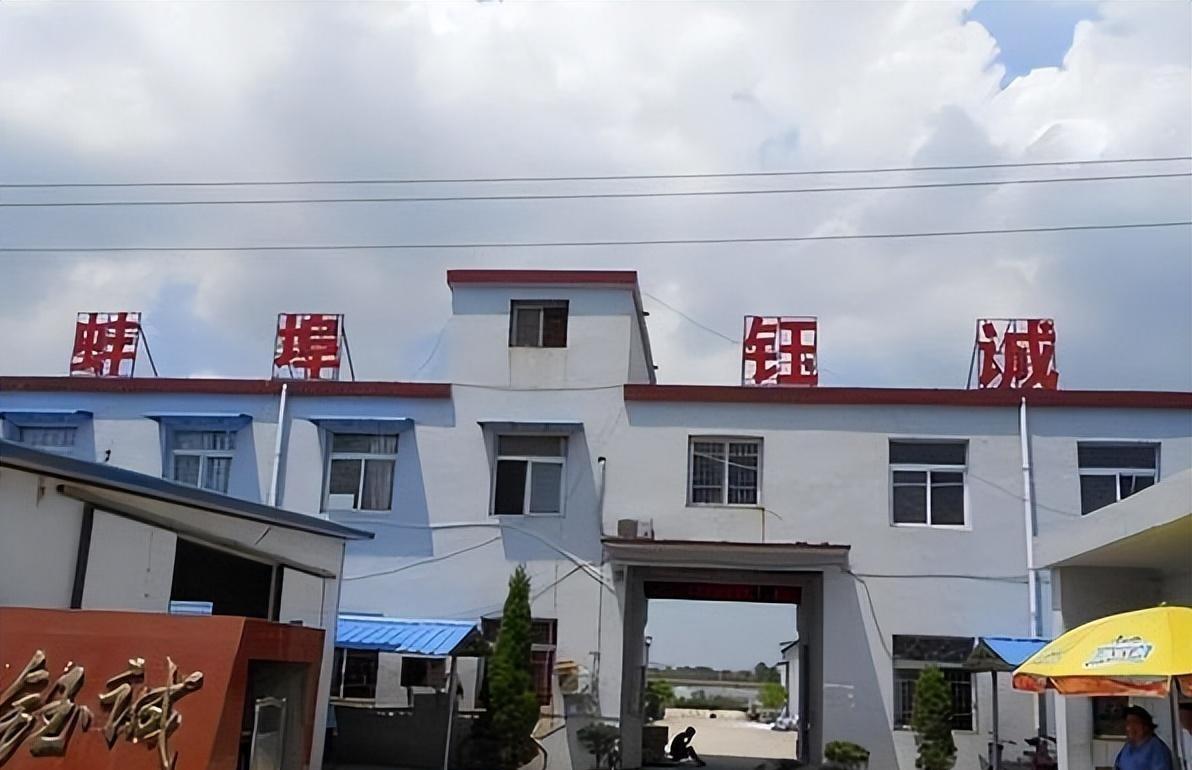 缅北诈骗团伙跟丁宁有关吗,e租宝丁宁是在缅北抓的吗