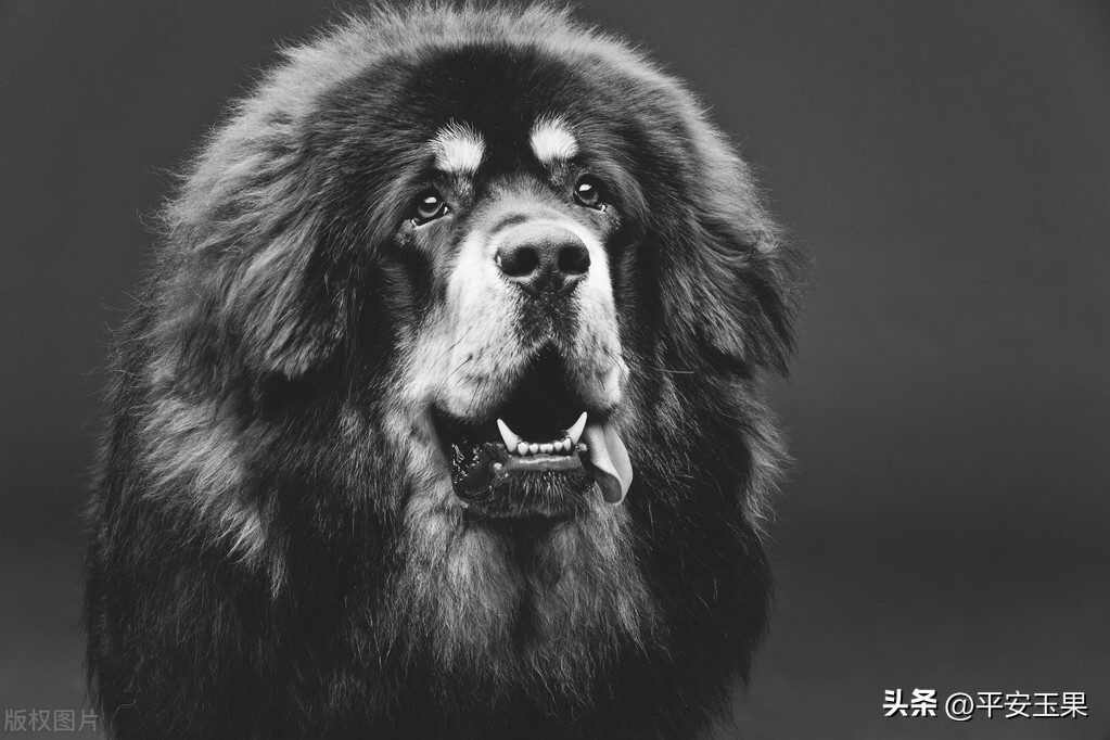 一次摄影之旅,一次拍摄失误的后果