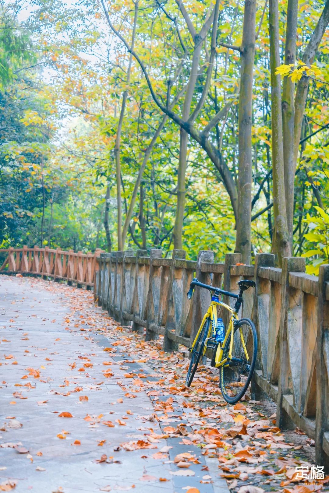 凤凰山绿道开放时间,凤凰山绿道全长多少公里