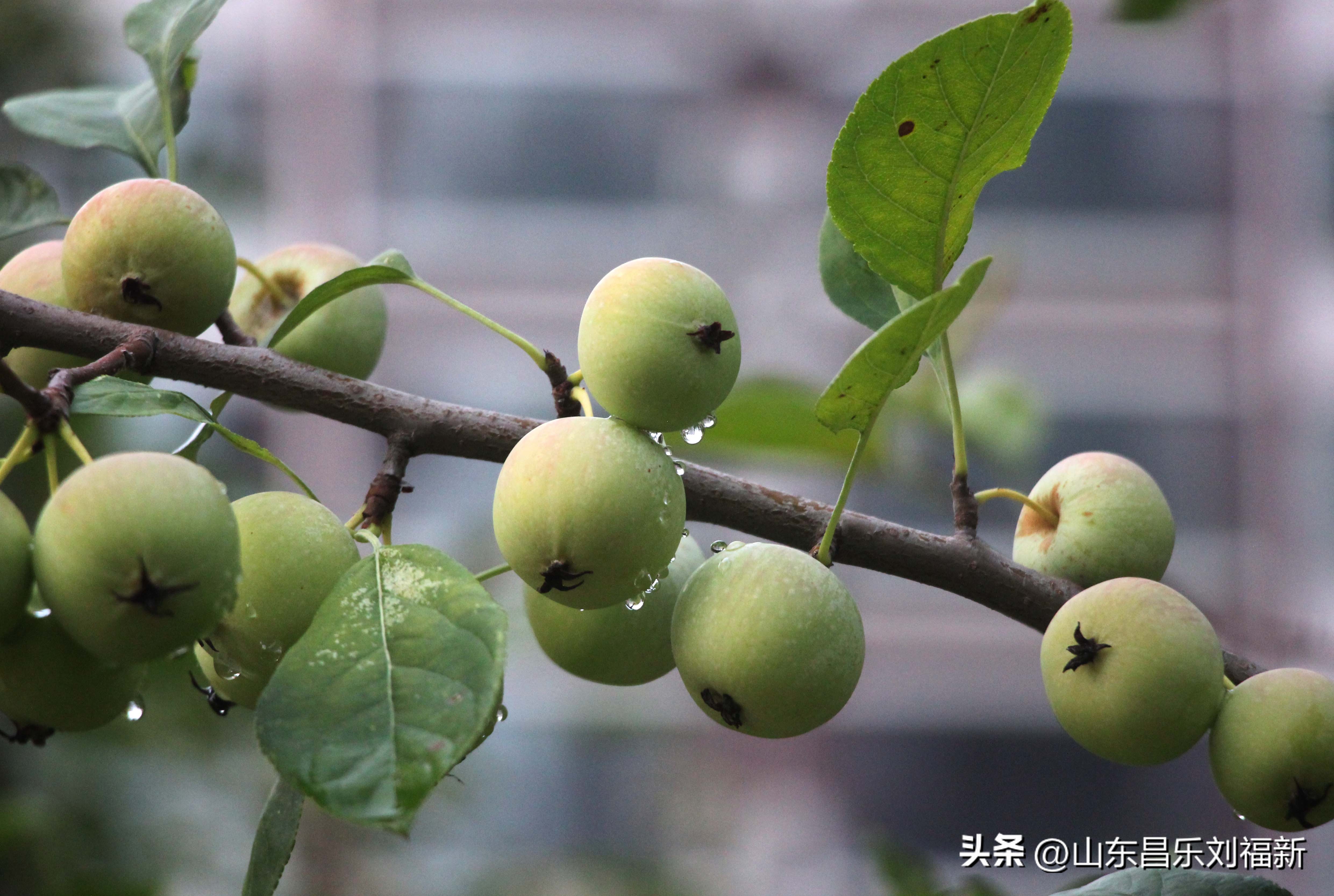 2023年8月20日有雨吗,2021年8月19日有没有下雨