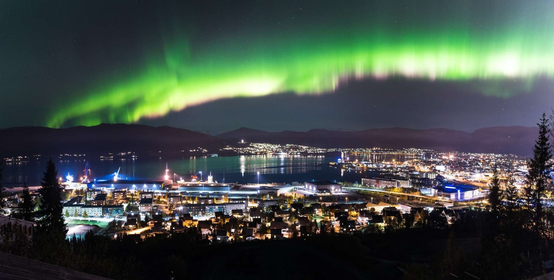 在我当船员的岁月里，我养大了一只海豹，尽管不舍也放它回归大海