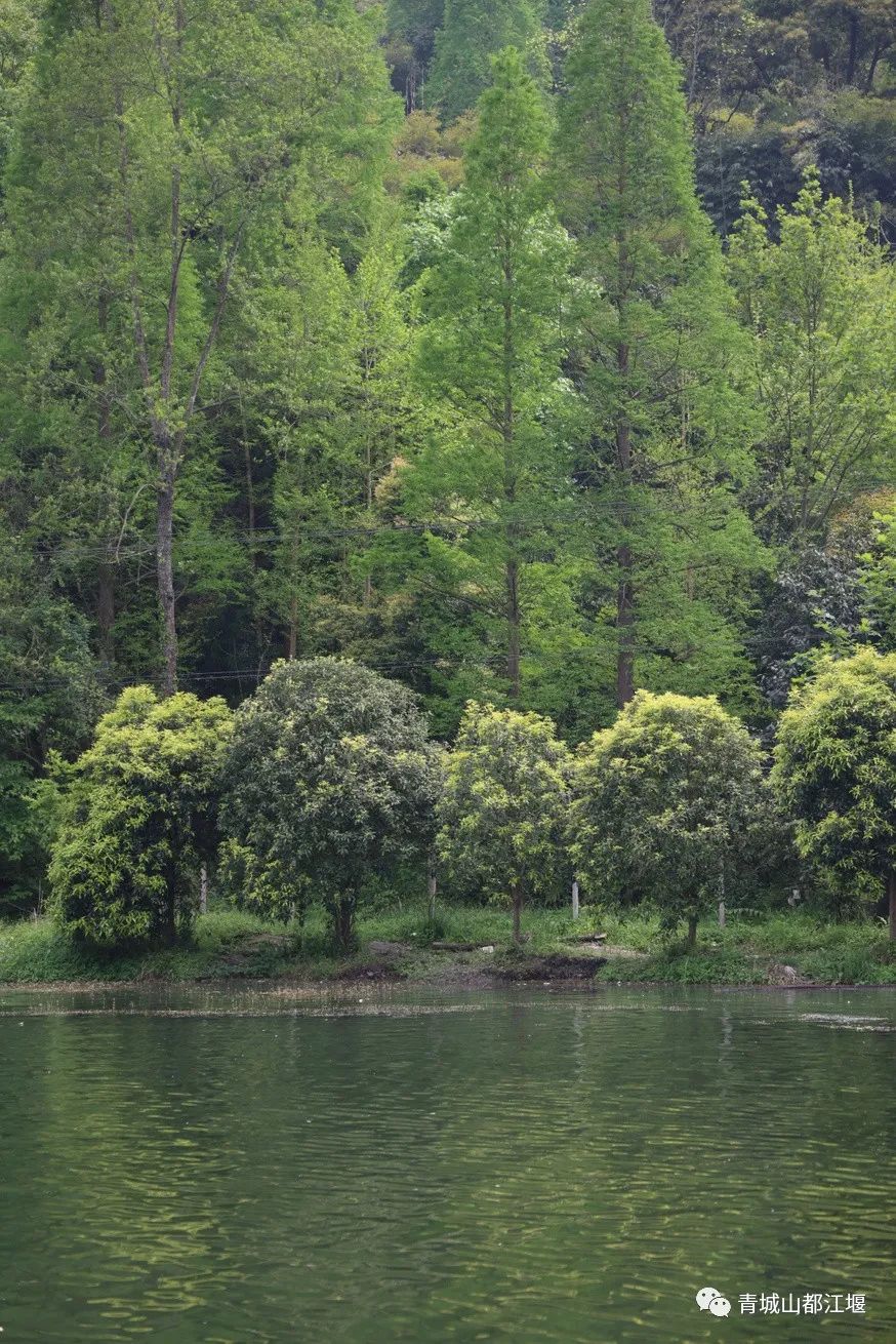 水灵妹旅行攻略,水灵妹旅游景点