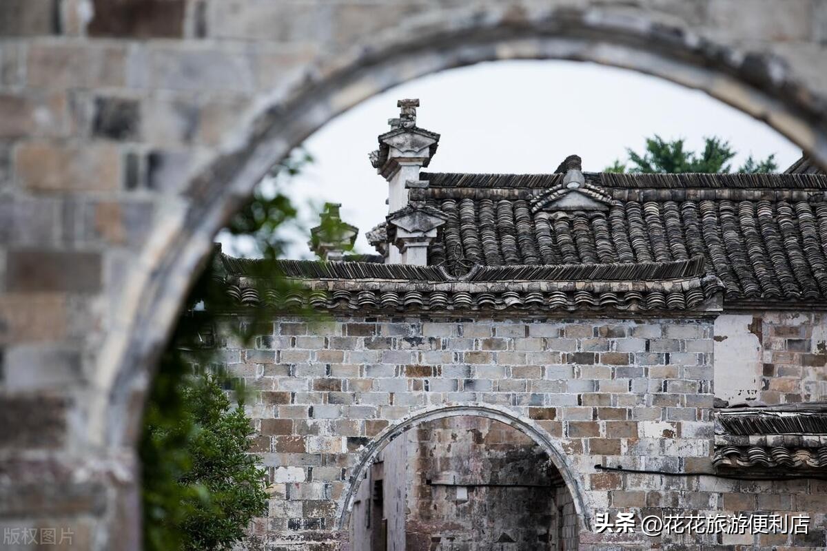 中国杨梅之乡浙江丈亭,中国杨梅之乡三洲