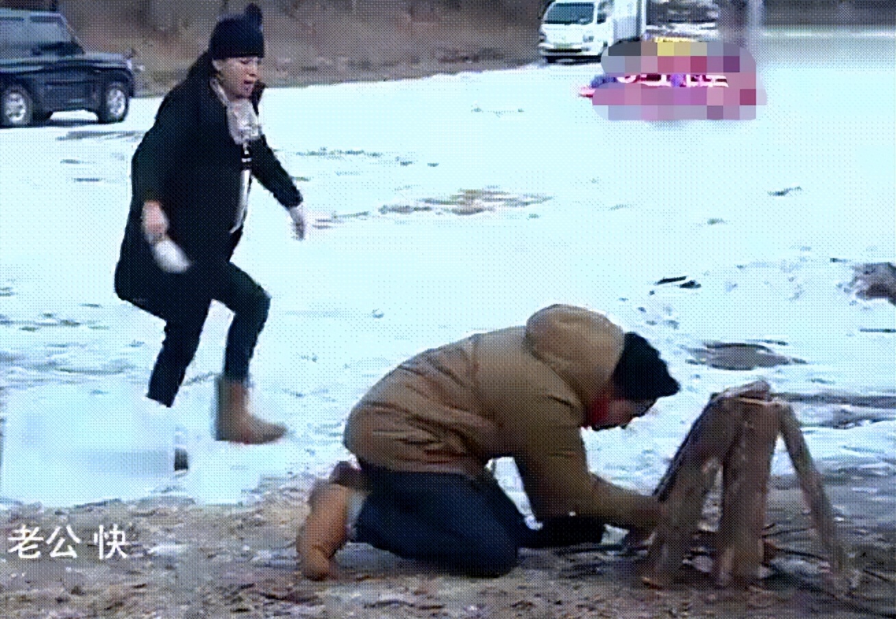 最美香港女星袁咏仪,最美港姐袁咏仪